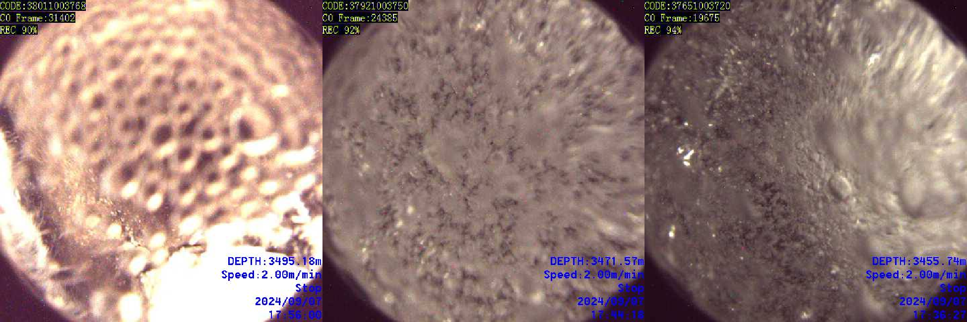 43mm Downhole Video Tool 43mm Downhole Video Tool